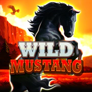 Wild Mustang